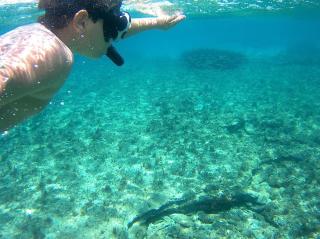 Thalassa Beach House - Kea Villa Rent - Kastellakia Bay Villas - Pisses - 3