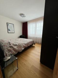 Modern Flat Davos with Lake Davos view - 4