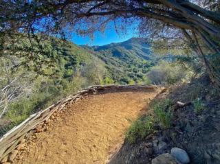 Backpacker's Dream with detached bathroom, private trails and creek! - 3