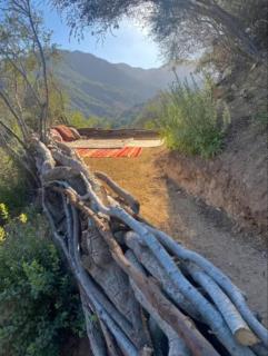 Topanga Dragonfly House - 1