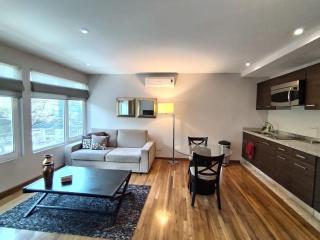 Arquimedes Light I Chic 1BR in Polanco - 8