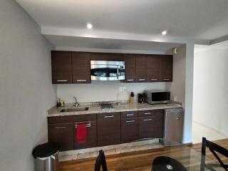 Arquimedes Light I Chic 1BR in Polanco - 4