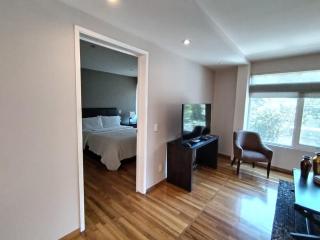 Arquimedes Light I Chic 1BR in Polanco - 3