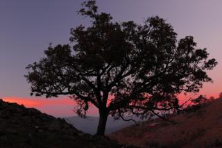Casas Rurales Acebuche en Valle del Ambroz - 2