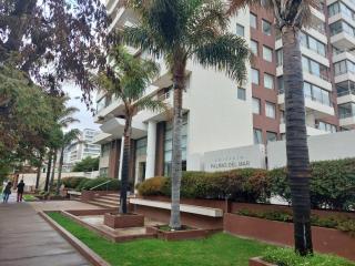 Delpinopropiedades 7 Norte 360 edificio Palmas del Mar - Viña del Mar - 0