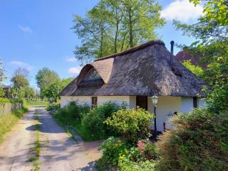 Unser Froschhaus - 8