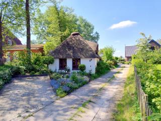 Unser Froschhaus - Süderdeich - 7