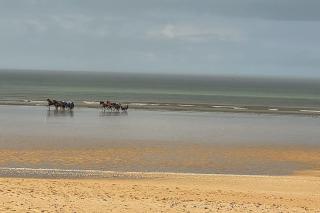 Bel Cabourg - Proche plage & Centre Cabourg - Cabourg - 6