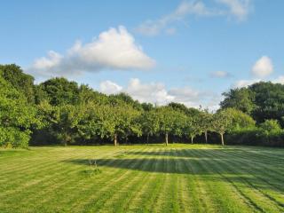 Maison charmante Trédrez-Locquémeau + Vue - 5