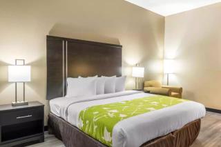 Americas Best Value Inn Opelika - Opelika - 9