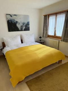 Waldheim Laax Pension - 4