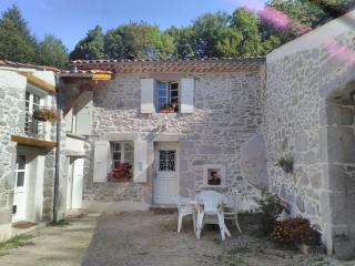 Gîte le Coumis - Saint-Salvy-de-la-Balme - 2