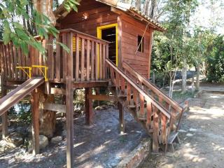 Linda Fazenda Centenária - Conforto e charme - 5