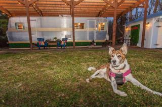 Beach Get Away Fabulous Vintage Trailer - 4