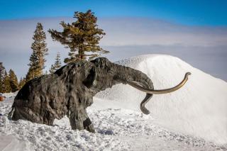 La Vista Blanc 39 - Mammoth Lakes - 7