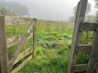 Treweryn - Llandyssiliogogo - 7