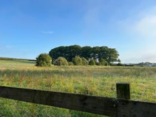 Treweryn - Llandyssiliogogo - 2