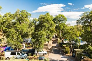 Camping Des Mimosas - Argelès-sur-Mer - 3