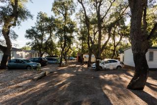 Camping Des Mimosas - Argelès-sur-Mer - 2