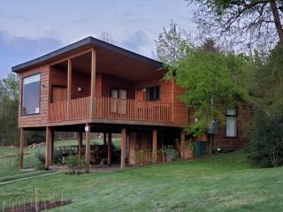 Cabañas Futrono - 7