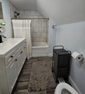 Homestay w Zuku the Cat - 10 mins from downtown, 20 from airport - Indianápolis - 9