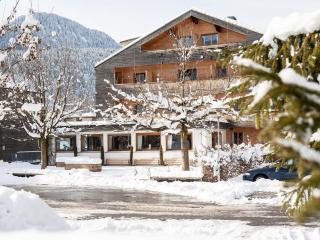 Biohotel Schwanen - Bizau - 2