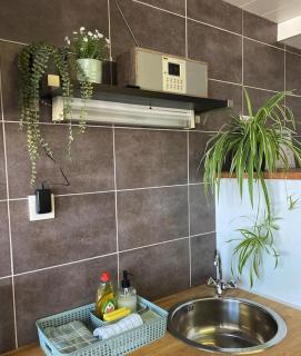Living History - Astrid - Antwerpen - 1