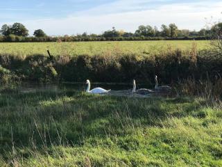 Thames Cottage, Old Mill Farm, Cotswold Water Park - 1