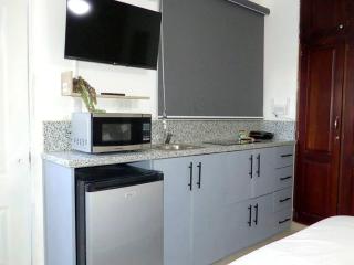 Villa Olga Studio - Rincón Largo - 3