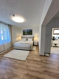 Silvan Villa - Apart - Sighişoara - 0