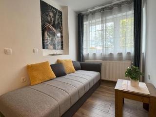 APOLLO - Center - Self check in - free parking - Osijek - 4