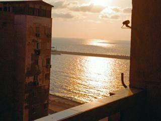 بأرقى مكان على شاطىء الاسكندرية - Alexandria - 0
