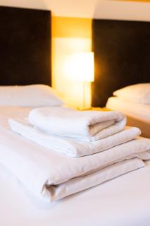 Lenas Donau Hotel - Viena - 1