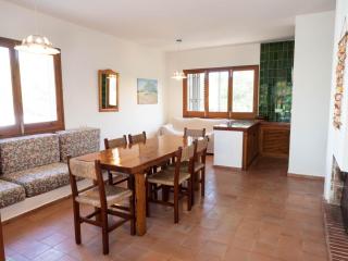 Casa Sa Serreta - Sant Ferran de Ses Roques - 1
