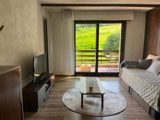 Cosy studio dans le domaine skiable des Portes du Soleil à Torgon - 1