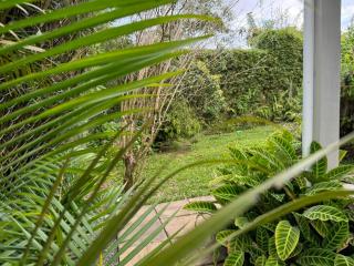 Tusti - Curepipe - 6