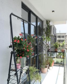 Ixora House - Moba - 3