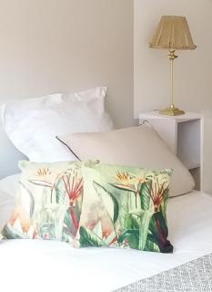 Séjour Perpignan avec piscine - Petit-déjeuner à la demande - 20 minutes de l'Espagne - Le Palace climatisé - 8