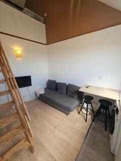 Brun noisetier - Tourcoing - 7