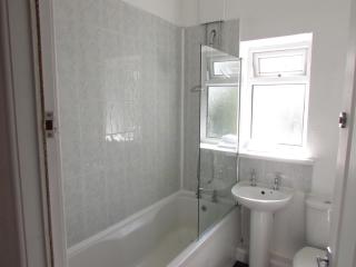 Perfect house for professionals - 3