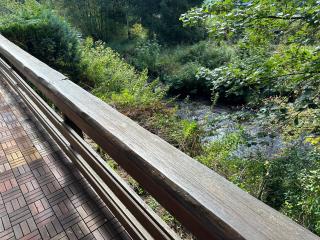 Ferienwohnungen Forellengrund Schierke - Schierke - 4