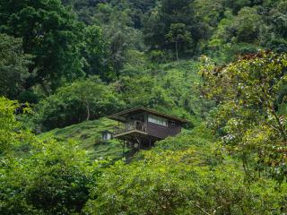 Hotel Rivel - Restaurant & Nature Retreat - Turrialba - 1