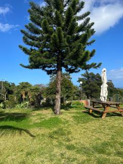 Discovery 1 - Machico - 9