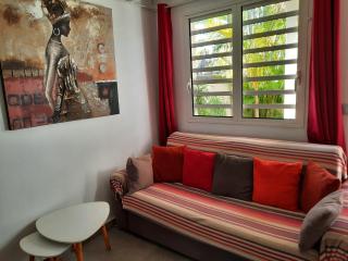 Jolie maisonnette, piscine, jacuzzi - Sainte-Suzanne - 6