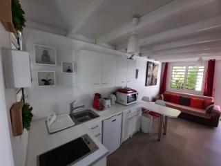Jolie maisonnette, piscine, jacuzzi - Sainte-Suzanne - 2