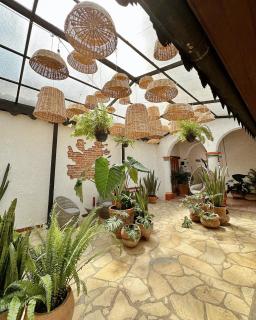 Hotel Neutro - San Cristóbal de Las Casas - 3