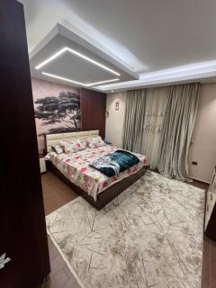 جامعه الدول العربيه - 7