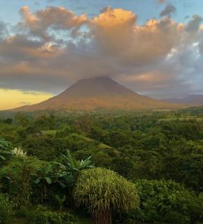 Lost Iguana Resort and Spa - Fortuna - 9