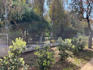 Villa Eucalipti sul mare - Bari - 6