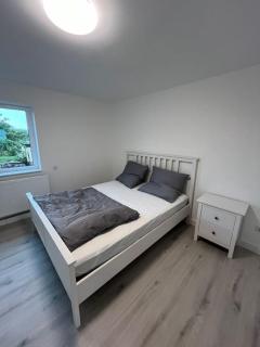 Black Forest Gate Apartment - Schellbronn - 6